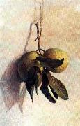 Benedito Calixto Guava oil painting reproduction